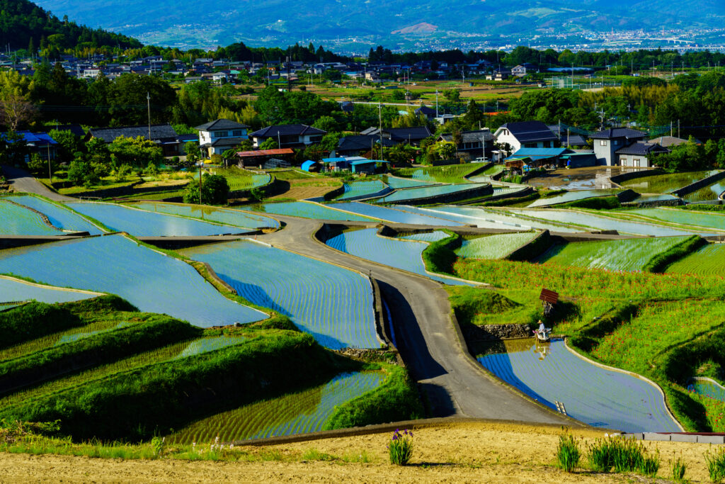 地場産業