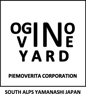 OGINO VINEYARD